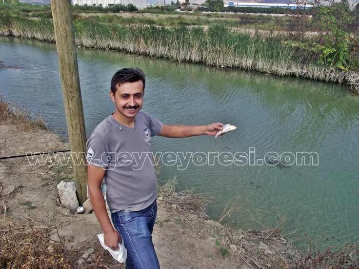 Kanal Geyve Mesire 27